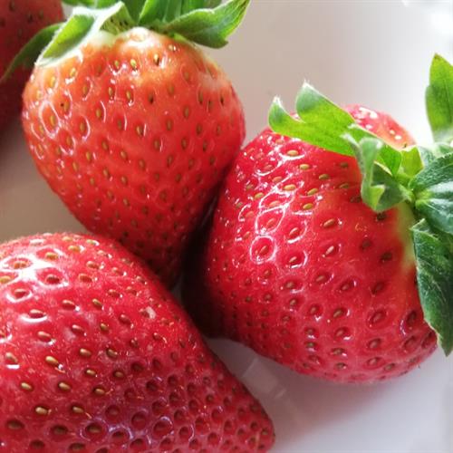 jordbør er en dejlig frugt 